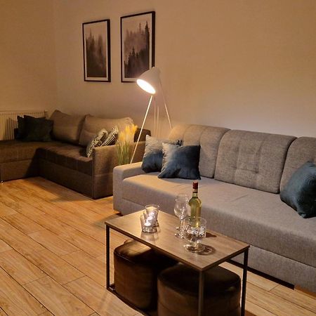 Monia Apartment Świeradów-Zdrój Kültér fotó