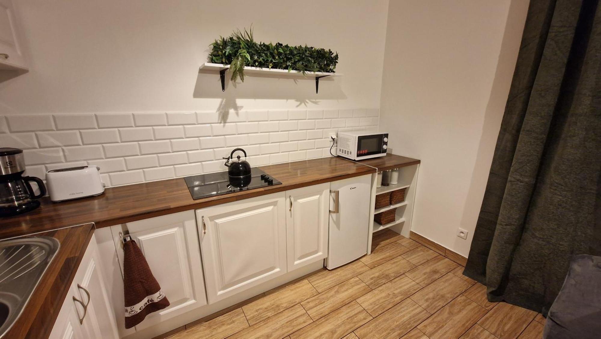 Monia Apartment Świeradów-Zdrój Kültér fotó